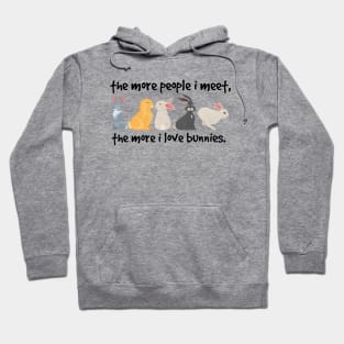 the more people i meet the more i love bunnies Hoodie